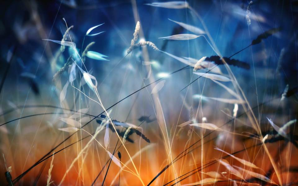 fresh desktop 1920x1200 wallpaper