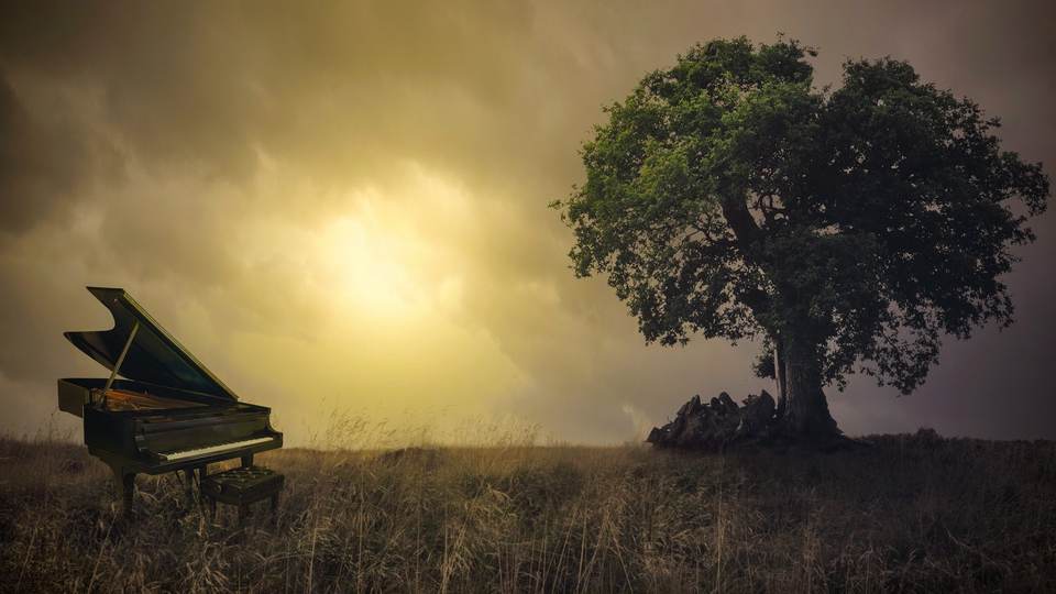 fresh desktop 1920x1080 wallpaper