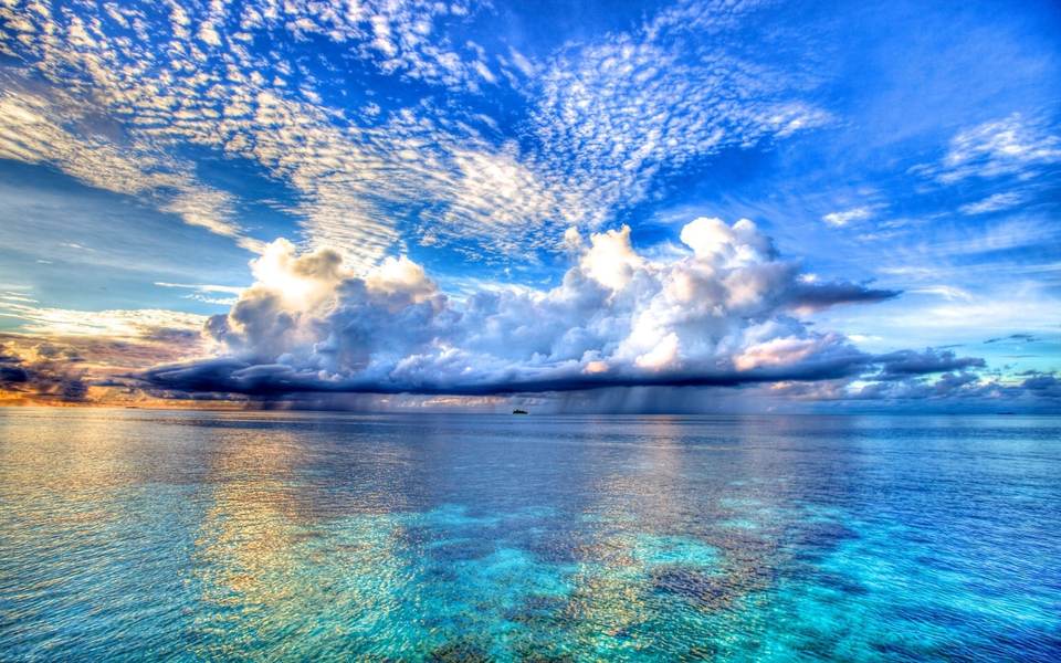 fresh desktop 2559x1600 wallpaper