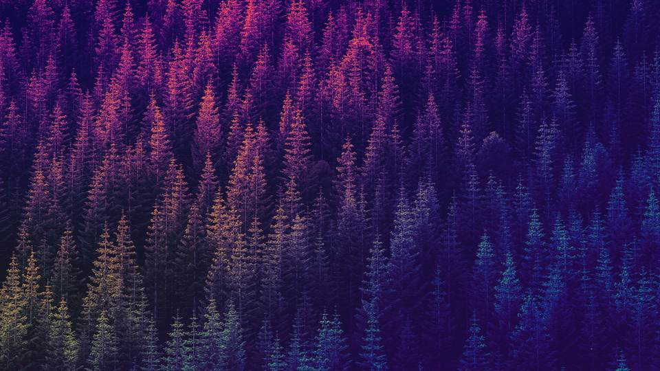fresh desktop 2560x1440 wallpaper