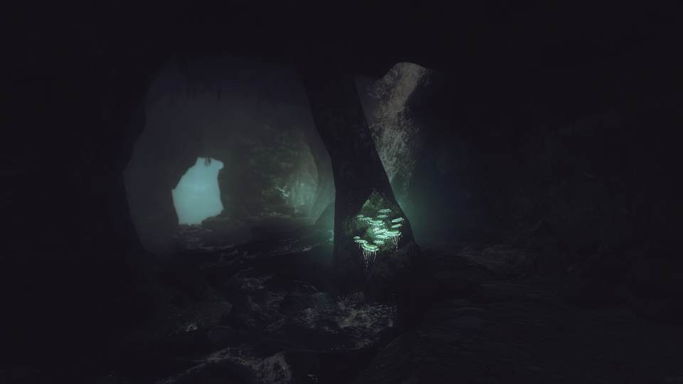 fresh desktop 1920x1080 wallpaper