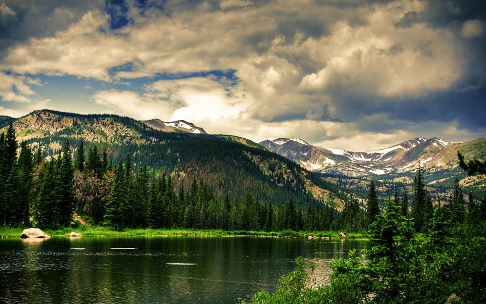 fresh desktop 2560x1600 wallpaper