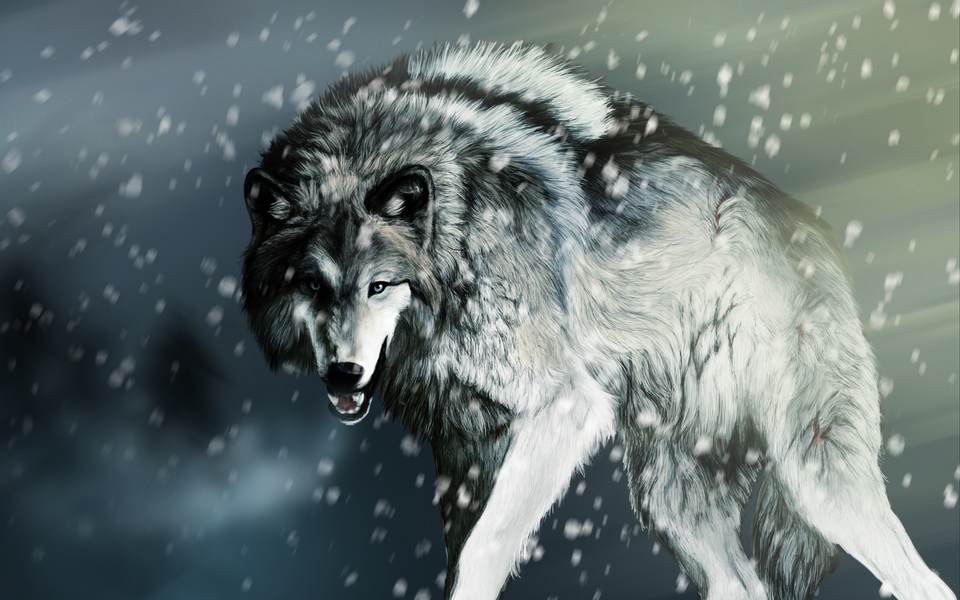 fresh desktop 2560x1600 wallpaper