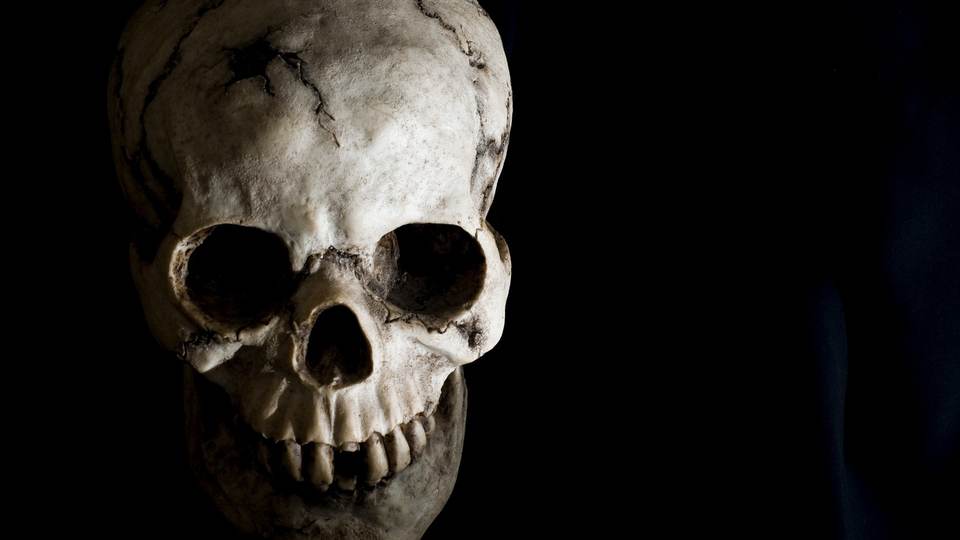 fresh desktop 1920x1080 wallpaper