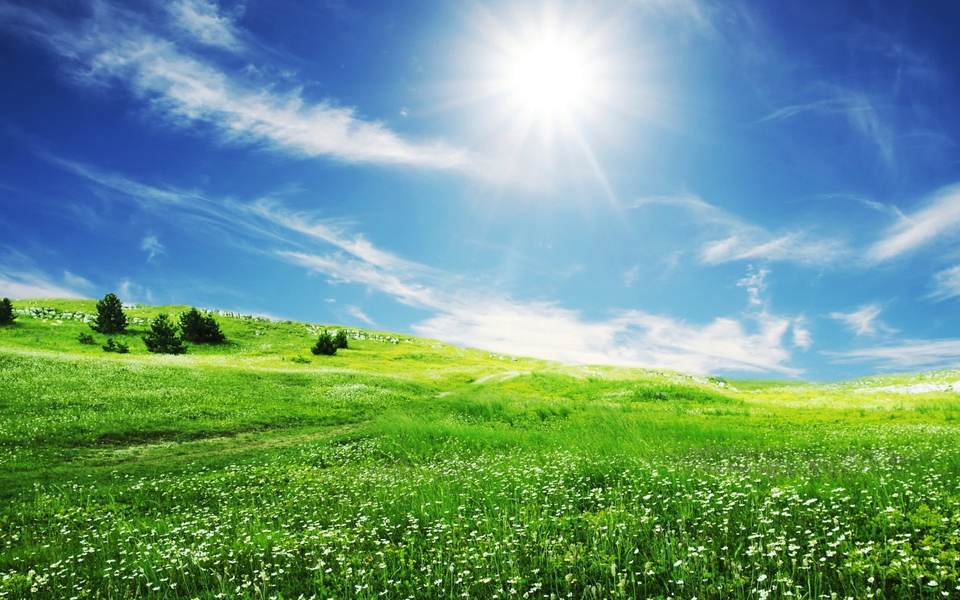 fresh desktop 1920x1200 wallpaper