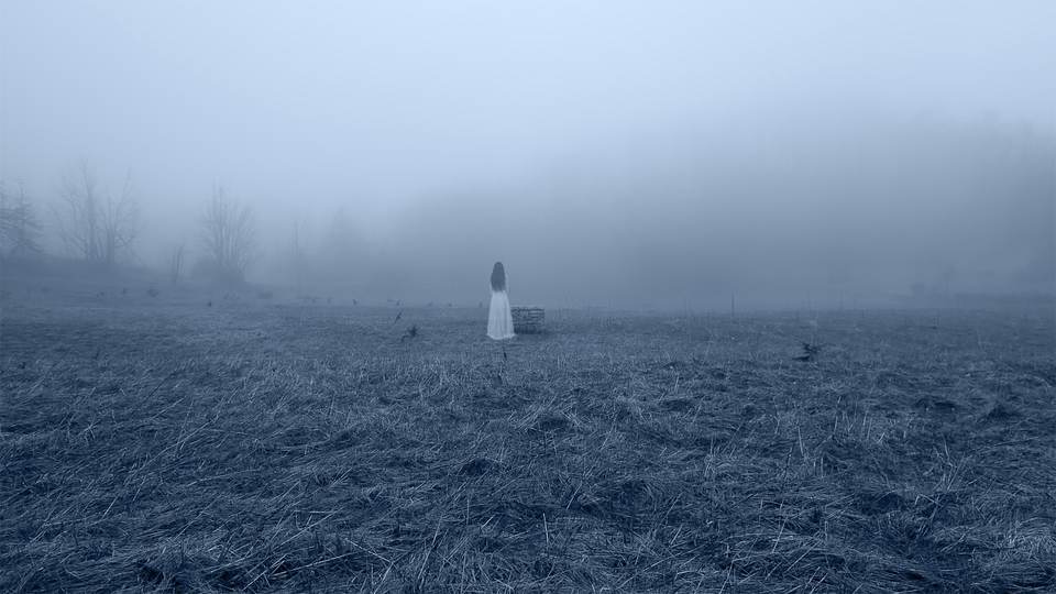 fresh desktop 1920x1080 wallpaper