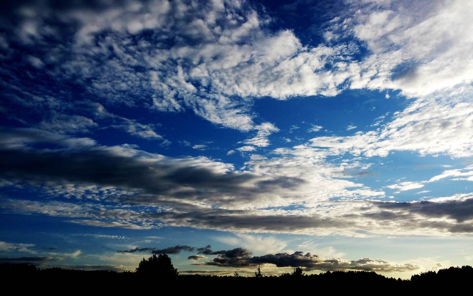fresh desktop 1920x1200 wallpaper
