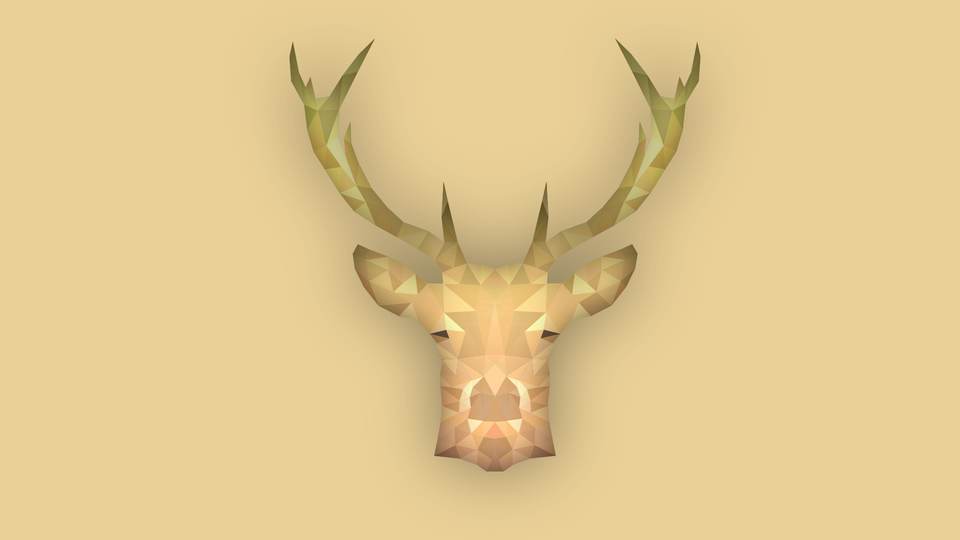 fresh desktop 1920x1080 wallpaper