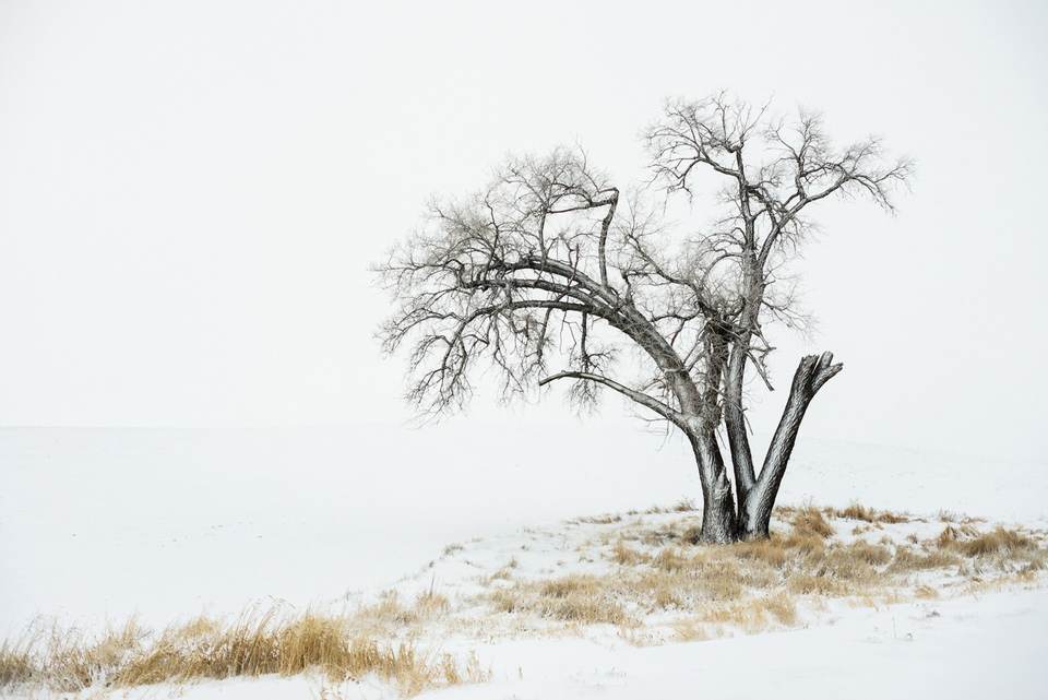 fresh desktop 1920x1282 wallpaper