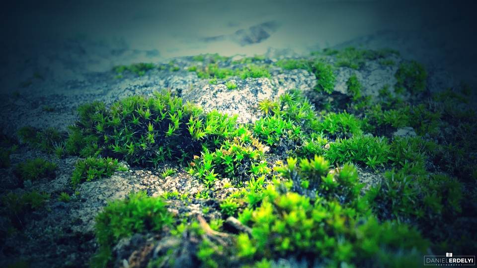 fresh desktop 2560x1440 wallpaper