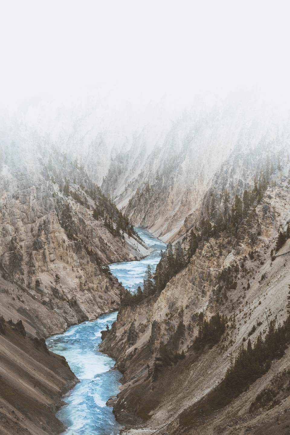 fresh phone 3648x5472 wallpaper