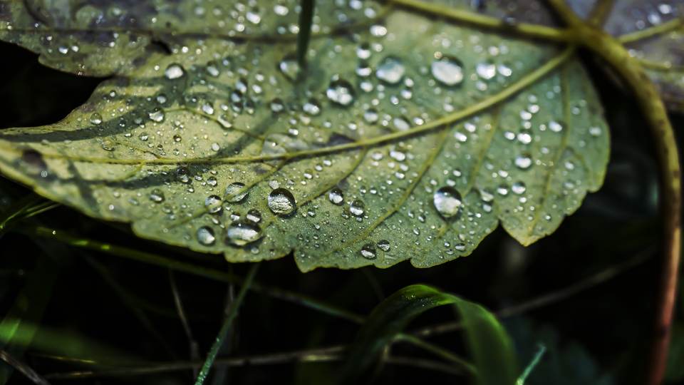fresh desktop 6000x3376 wallpaper