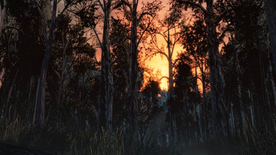 sunset desktop 1920x1080 wallpaper