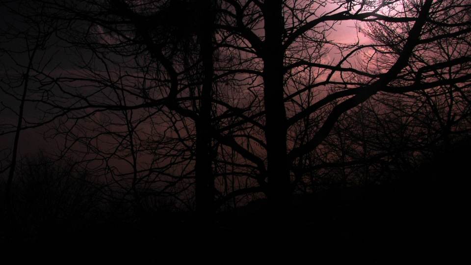 fresh desktop 1920x1080 wallpaper