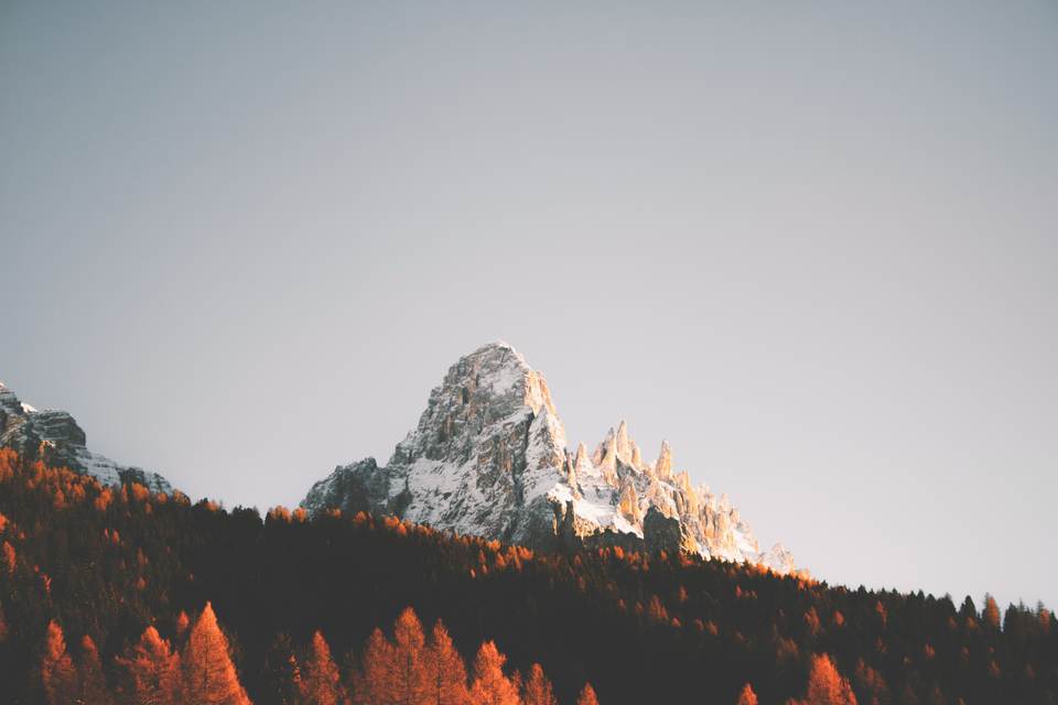 fresh desktop 6000x4000 wallpaper