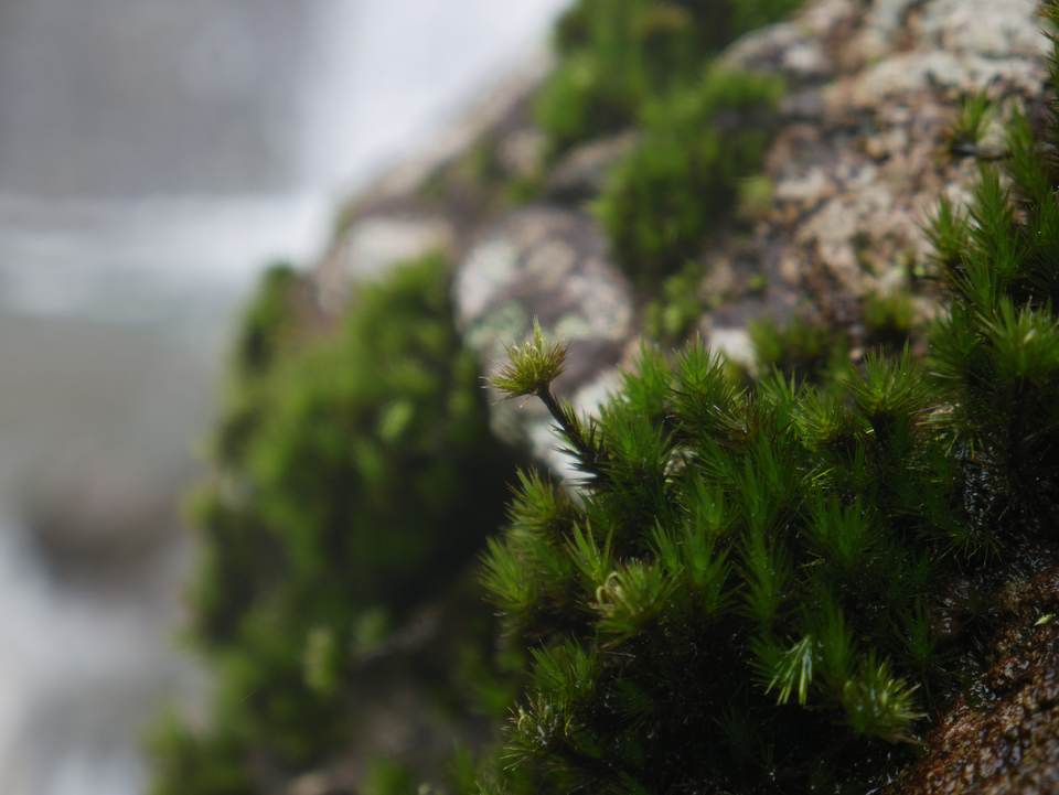 fresh desktop 4592x3448 wallpaper