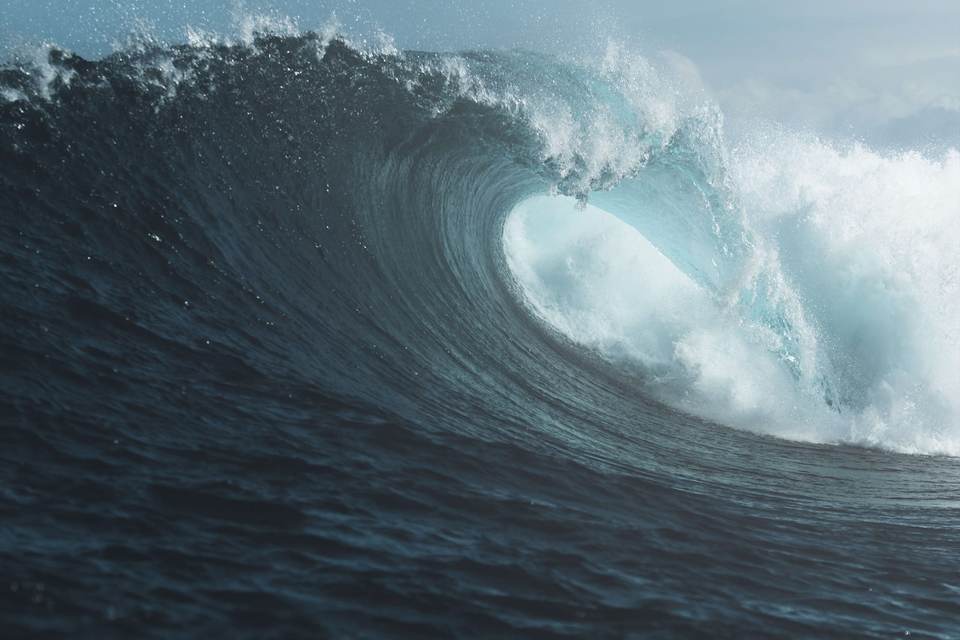 fresh desktop 2256x1504 wallpaper