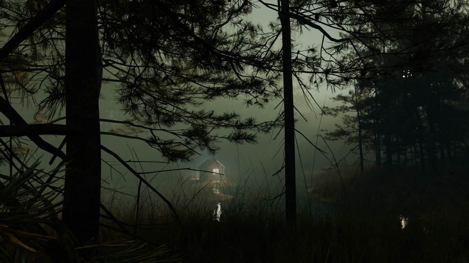 forest desktop 1920x1080 wallpaper
