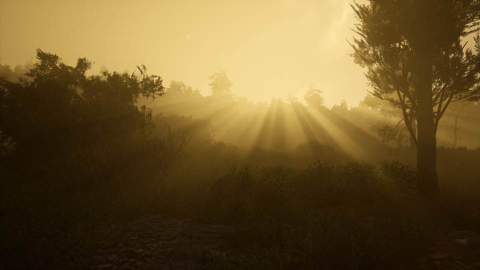 fresh desktop 2560x1440 wallpaper