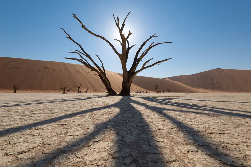 fresh desktop 2560x1708 wallpaper