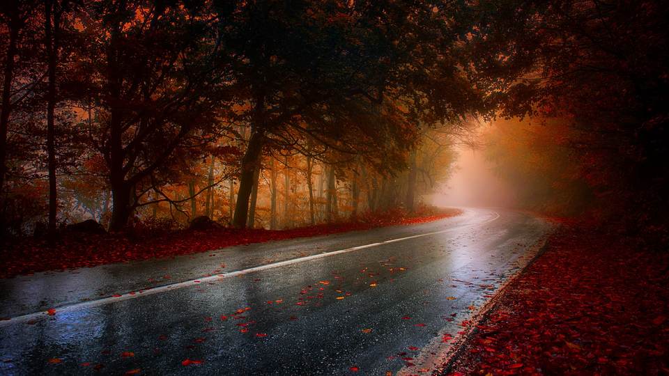 fresh desktop 2048x1152 wallpaper