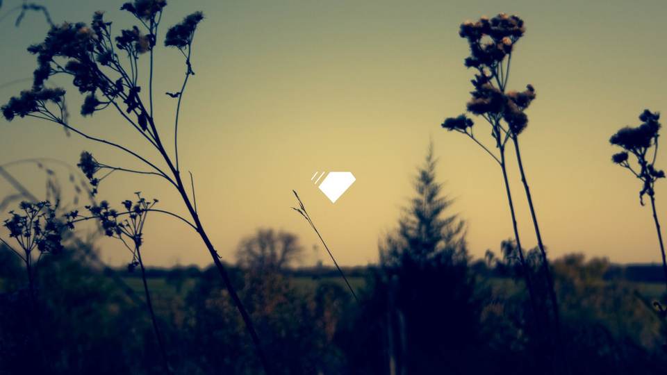 fresh desktop 1920x1080 wallpaper