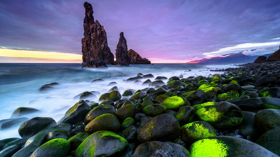 fresh desktop 3840x2160 wallpaper