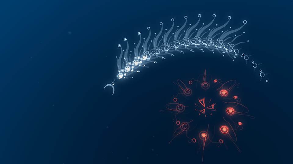 fresh desktop 1920x1080 wallpaper