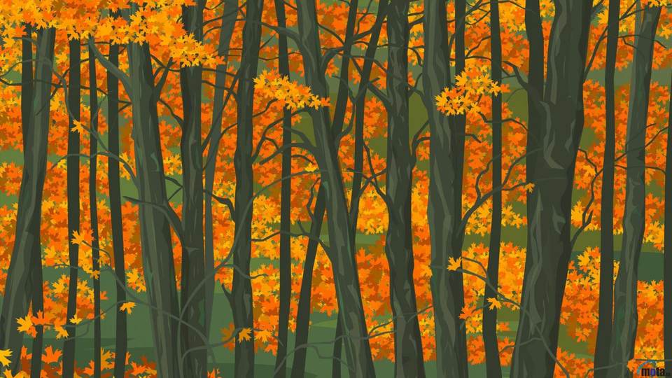 fresh desktop 1920x1080 wallpaper