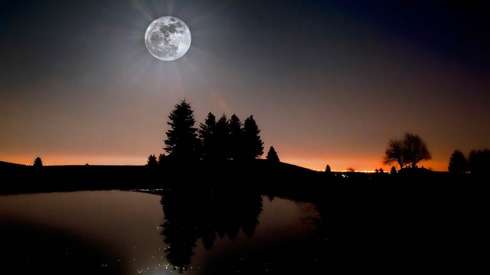 fresh desktop 1920x1080 wallpaper