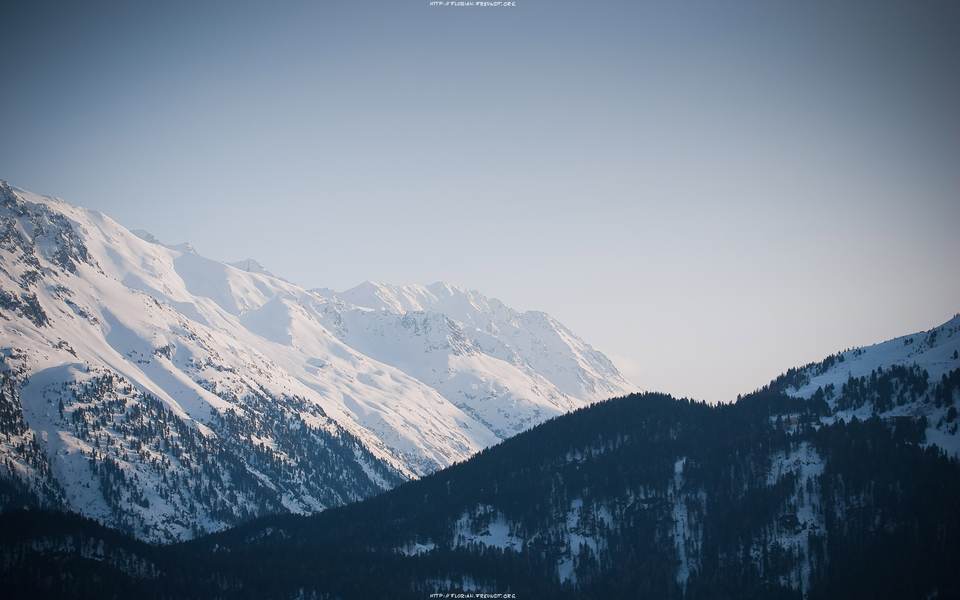 fresh desktop 2560x1600 wallpaper