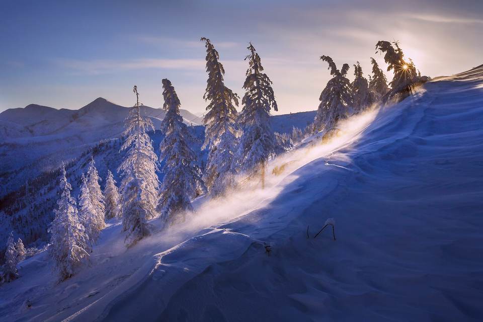 fresh desktop 2400x1600 wallpaper