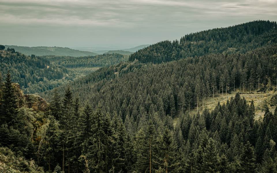 fresh desktop 8242x5151 wallpaper