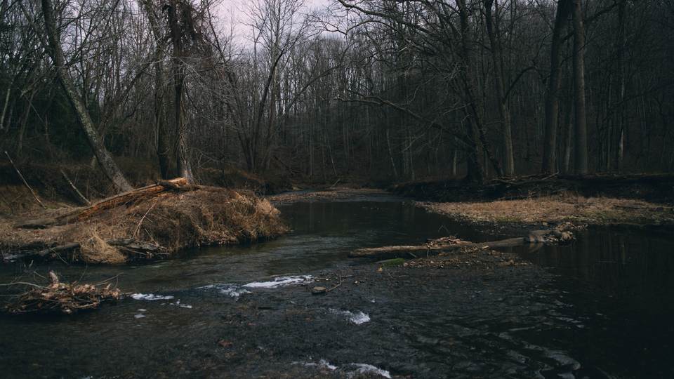 fresh desktop 3840x2160 wallpaper