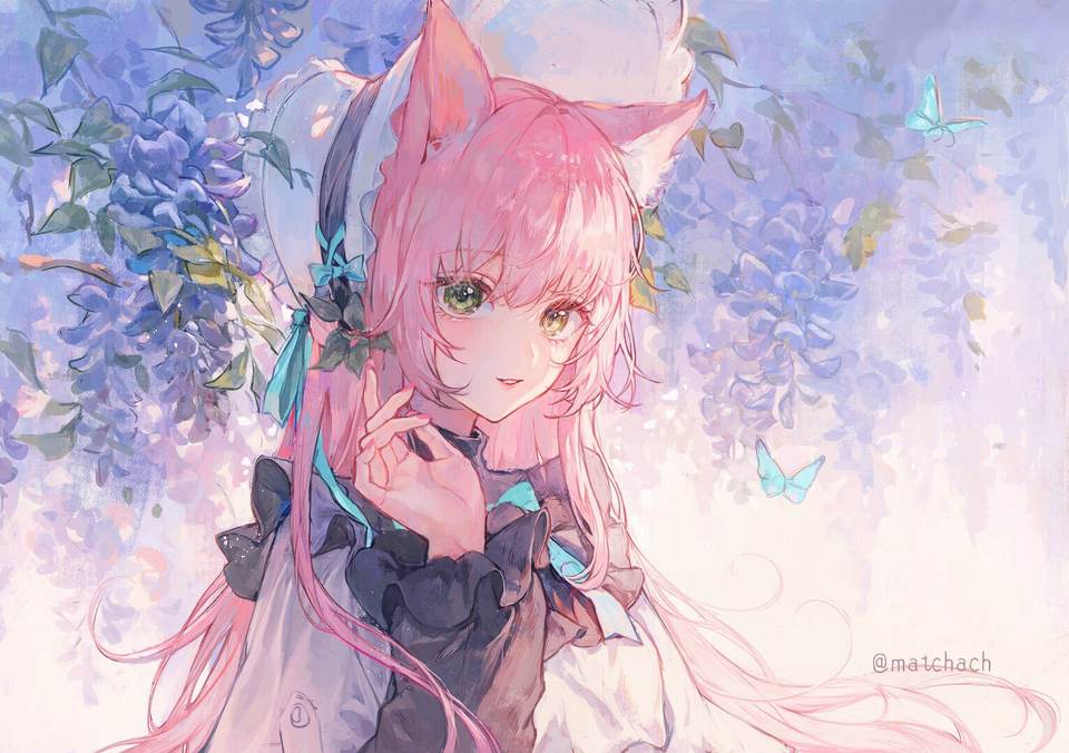 cat desktop 1534x1080 wallpaper