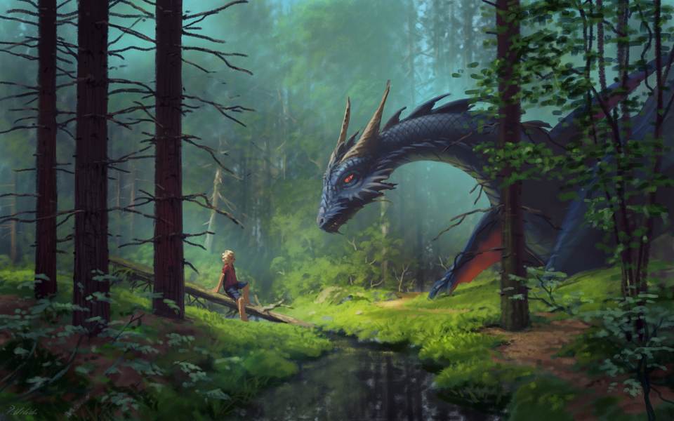 forest desktop 3840x2400 wallpaper