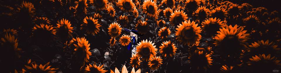 fresh desktop 5084x1320 wallpaper
