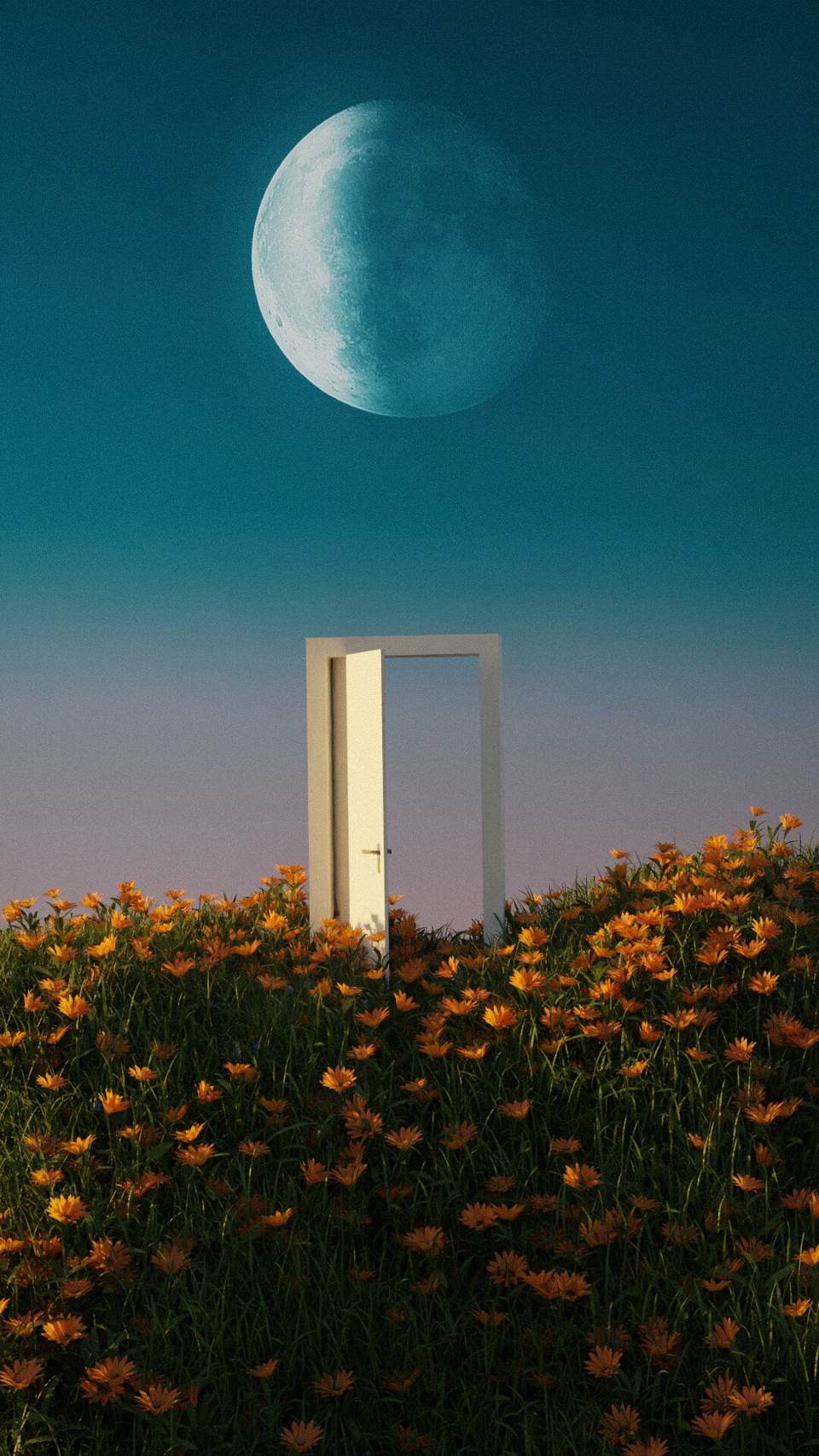 phone 1080x1920 wallpaper