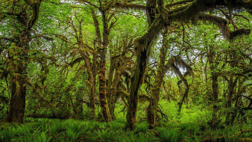fresh desktop 3840x2160 wallpaper