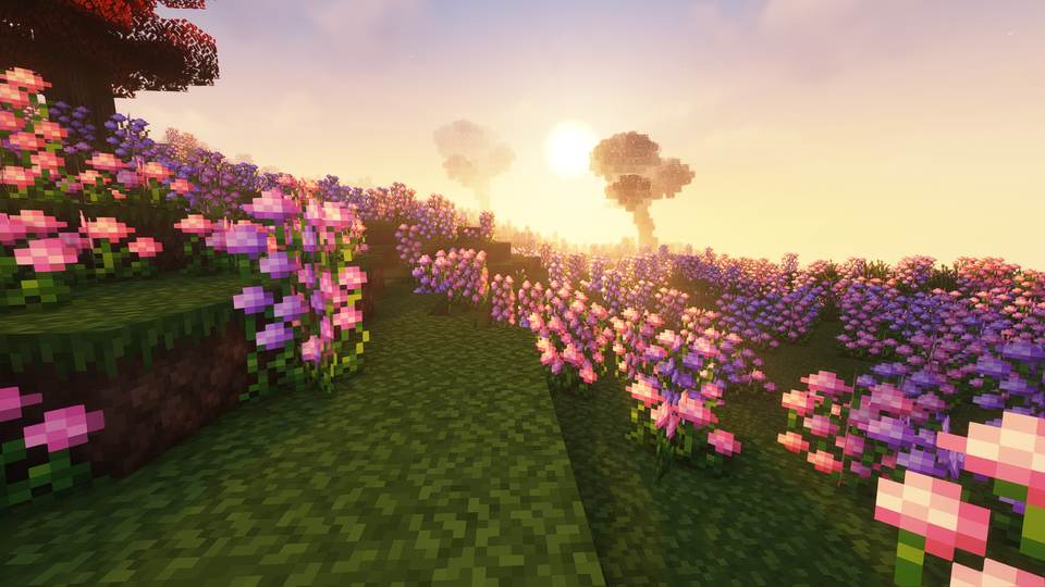 fresh desktop 1920x1080 wallpaper