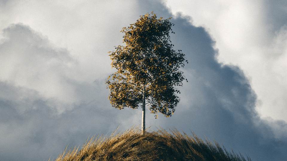 fresh desktop 3840x2160 wallpaper