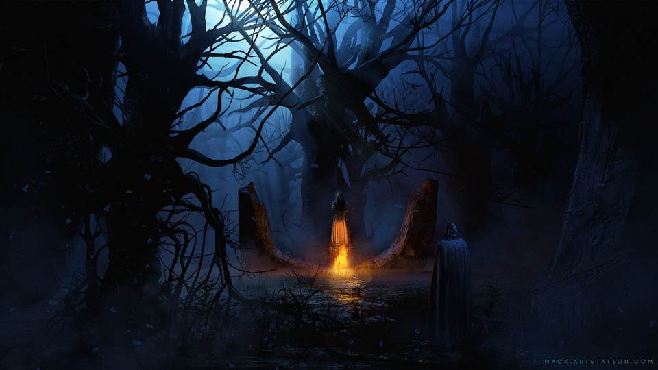 forest desktop 2500x1407 wallpaper