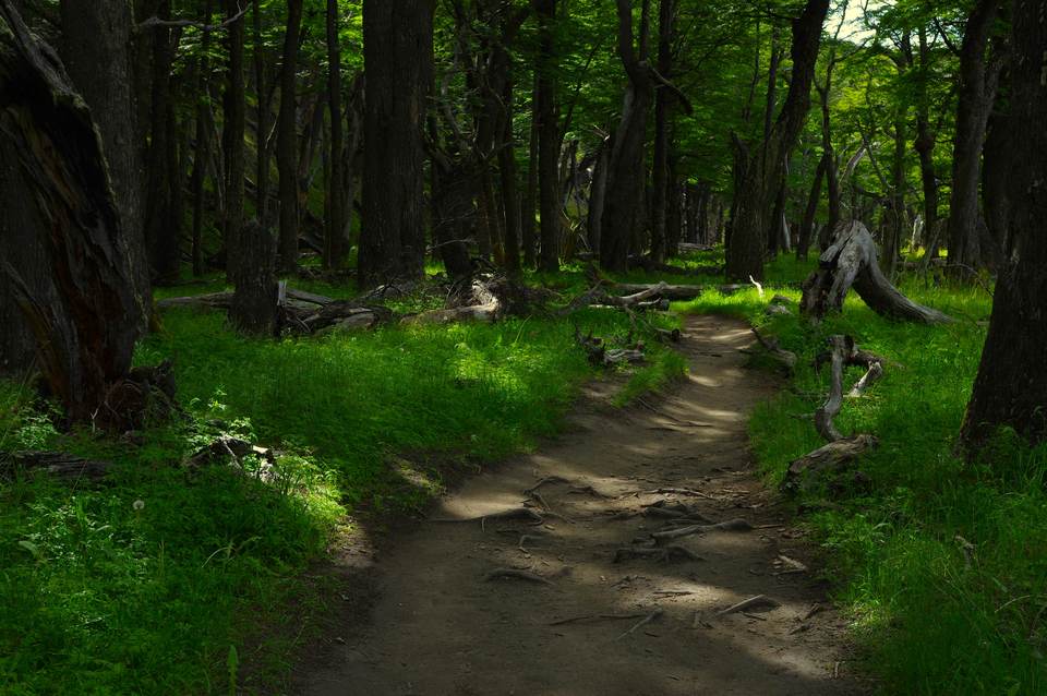 fresh desktop 6016x4000 wallpaper