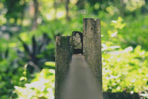 fresh desktop 4000x2667 wallpaper preview