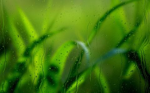 fresh desktop 1920x1200 wallpaper preview