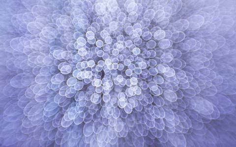 fresh desktop 2560x1600 wallpaper