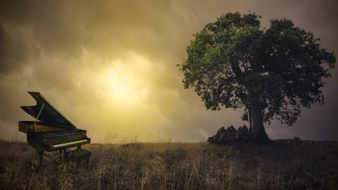 fresh desktop 1920x1080 wallpaper preview