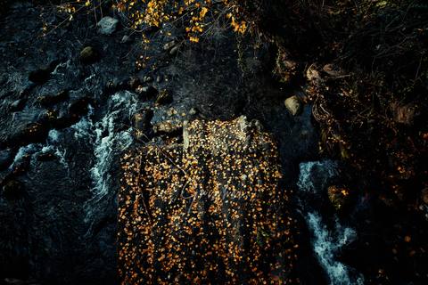 fresh desktop 3000x2000 wallpaper preview
