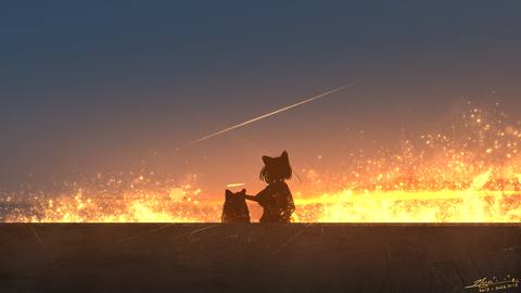 cat desktop 2205x1240 wallpaper