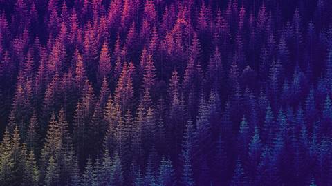fresh desktop 2560x1440 wallpaper